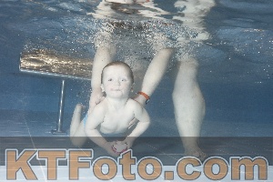 Foto 4120209