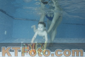 Photo 4120357