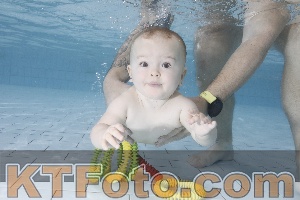Foto 4105230
