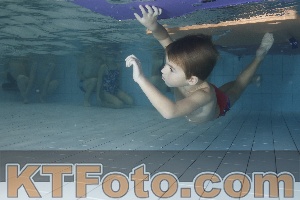 Photo 4106798
