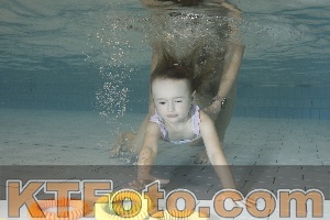 Foto 4108020