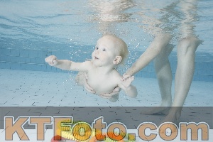 Photo 4108556