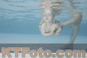 Photo 4109834