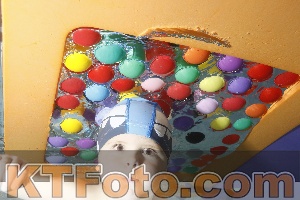 Foto 4113734