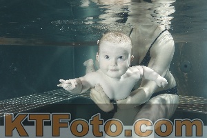Photo 4048215