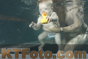 Photo 4048829