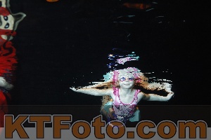 Foto 4204896