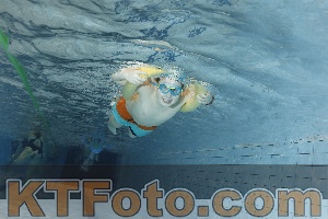 Foto 4205043