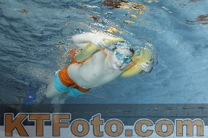 Foto 4205045