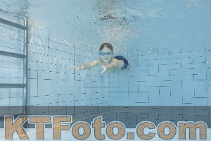 Foto 4205308
