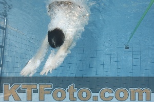 Photo 4205509