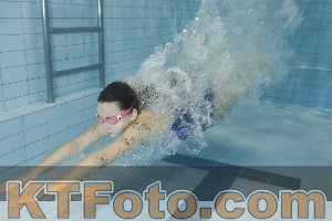 Photo 4205515