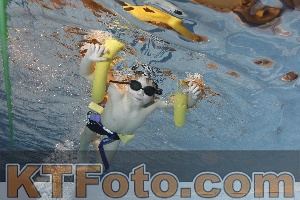 Foto 4203184
