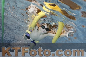 Foto 4203185