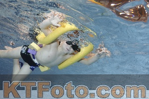 Foto 4203186