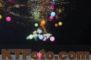 Foto 4203317