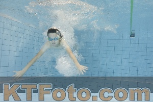 Foto 4203428