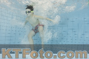 Photo 4203439