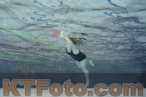 Foto 4203470