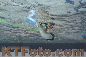 Foto 4203481