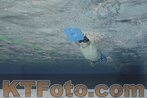 Foto 4203483