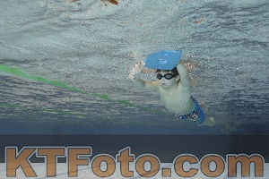 Foto 4203484