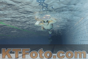 Foto 4203486