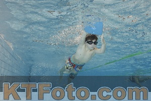 Foto 4203504