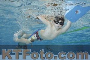 Foto 4203506