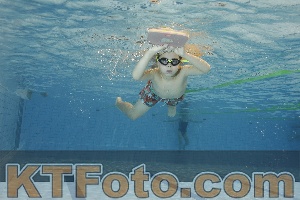 Foto 4203509