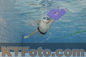 Foto 4203514