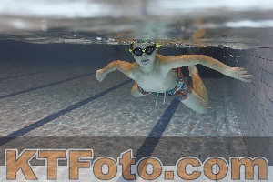 Photo 4203523