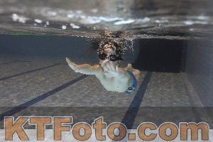 Foto 4203526