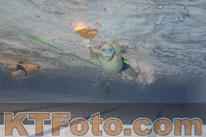 Photo 4203708