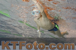 Photo 4203712