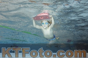 Foto 4203942