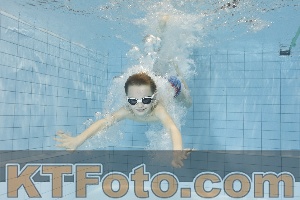 Foto 4204005