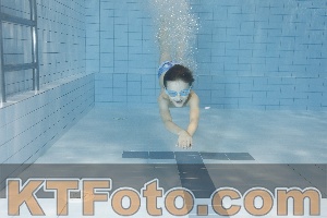 Foto 4204242