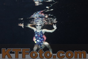 Foto 4204258