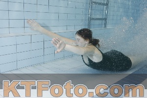 Photo 4204679