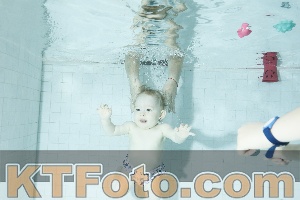 Photo 4155636