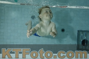 Photo 4155828