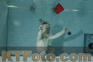 Photo 4155834