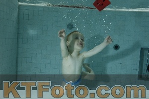 Photo 4155835