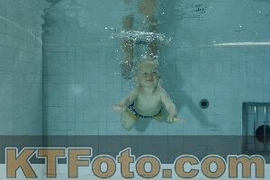 Photo 4155837