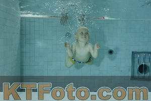 Photo 4155838