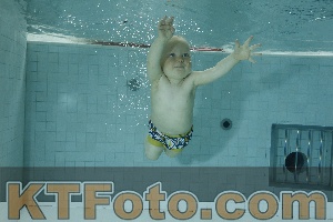 Photo 4155840