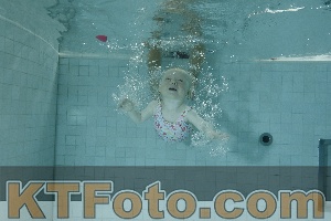 Photo 4155841