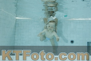 Photo 4155846