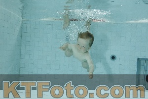 Photo 4155847